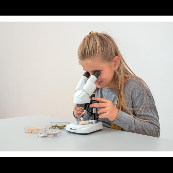 Stereo-Mikroskop für Einsteiger