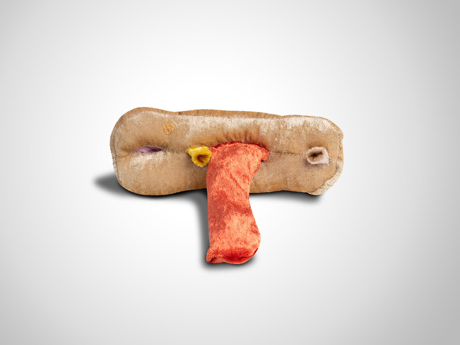 Paomi Vulva/Vagina flach variabel