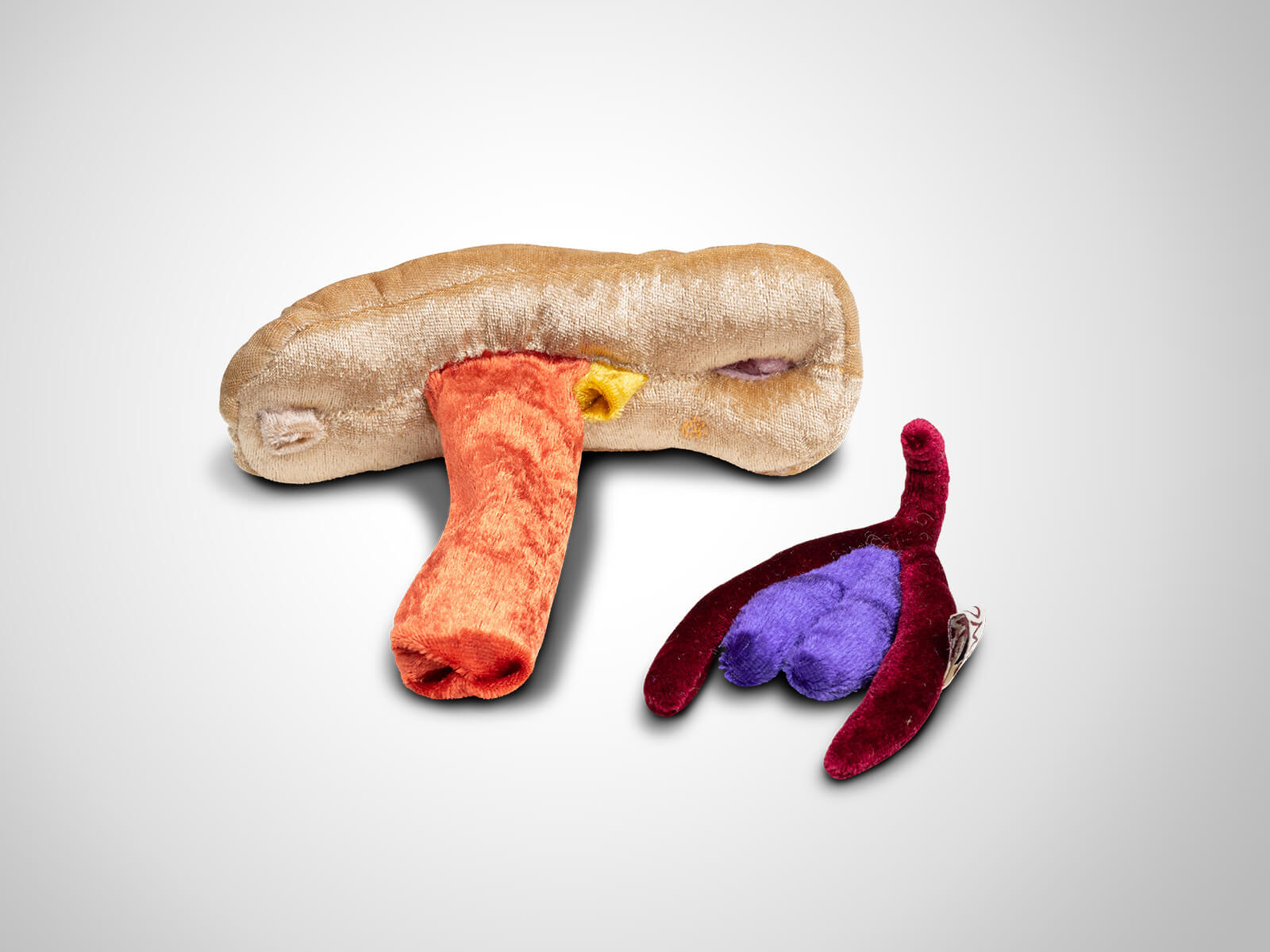 Paomi Vulva/Vagina flach variabel als Set mit Klitoris + Schwellkörper