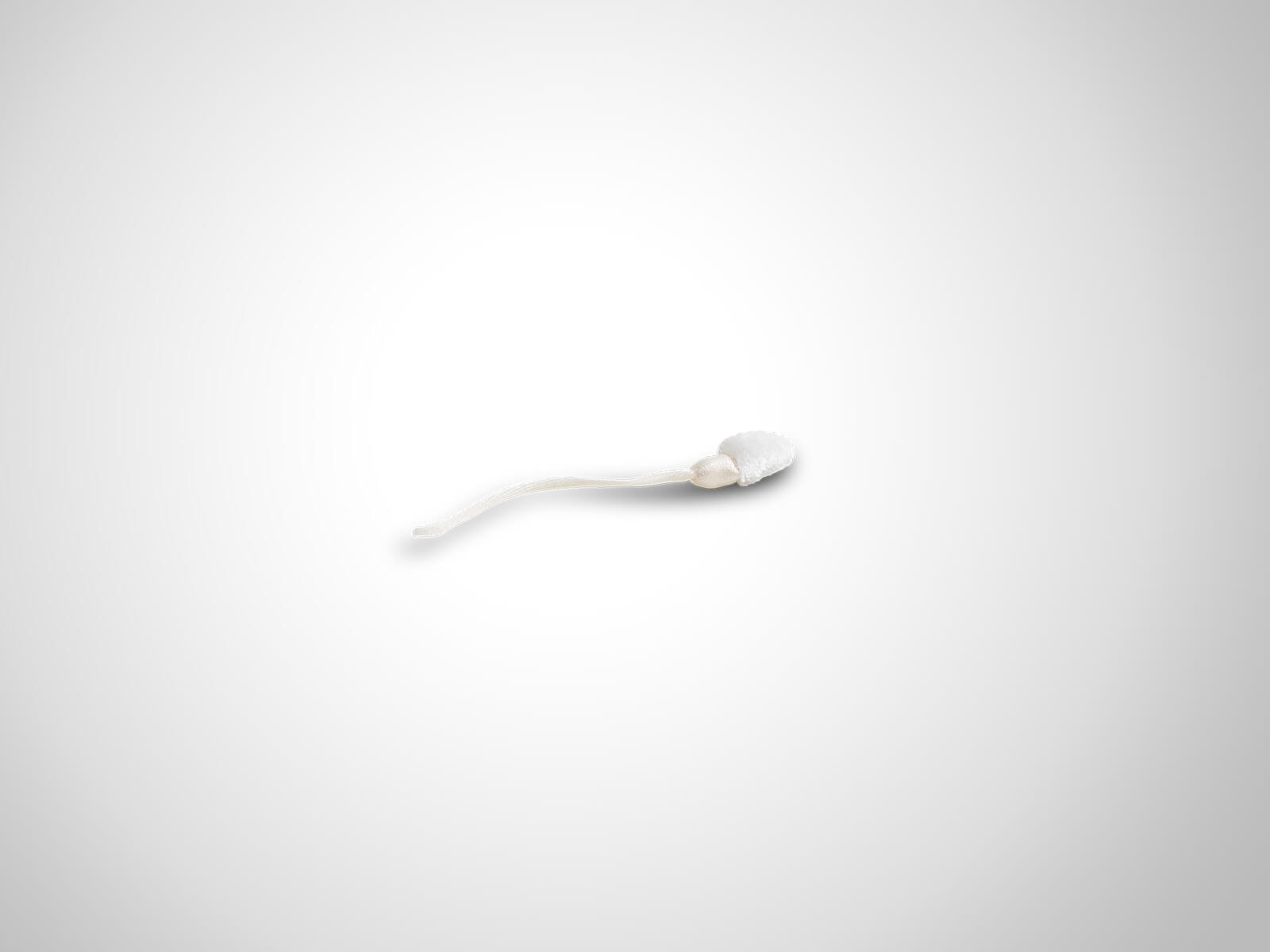 Paomi Spermien mit Magnet 1 Stk.