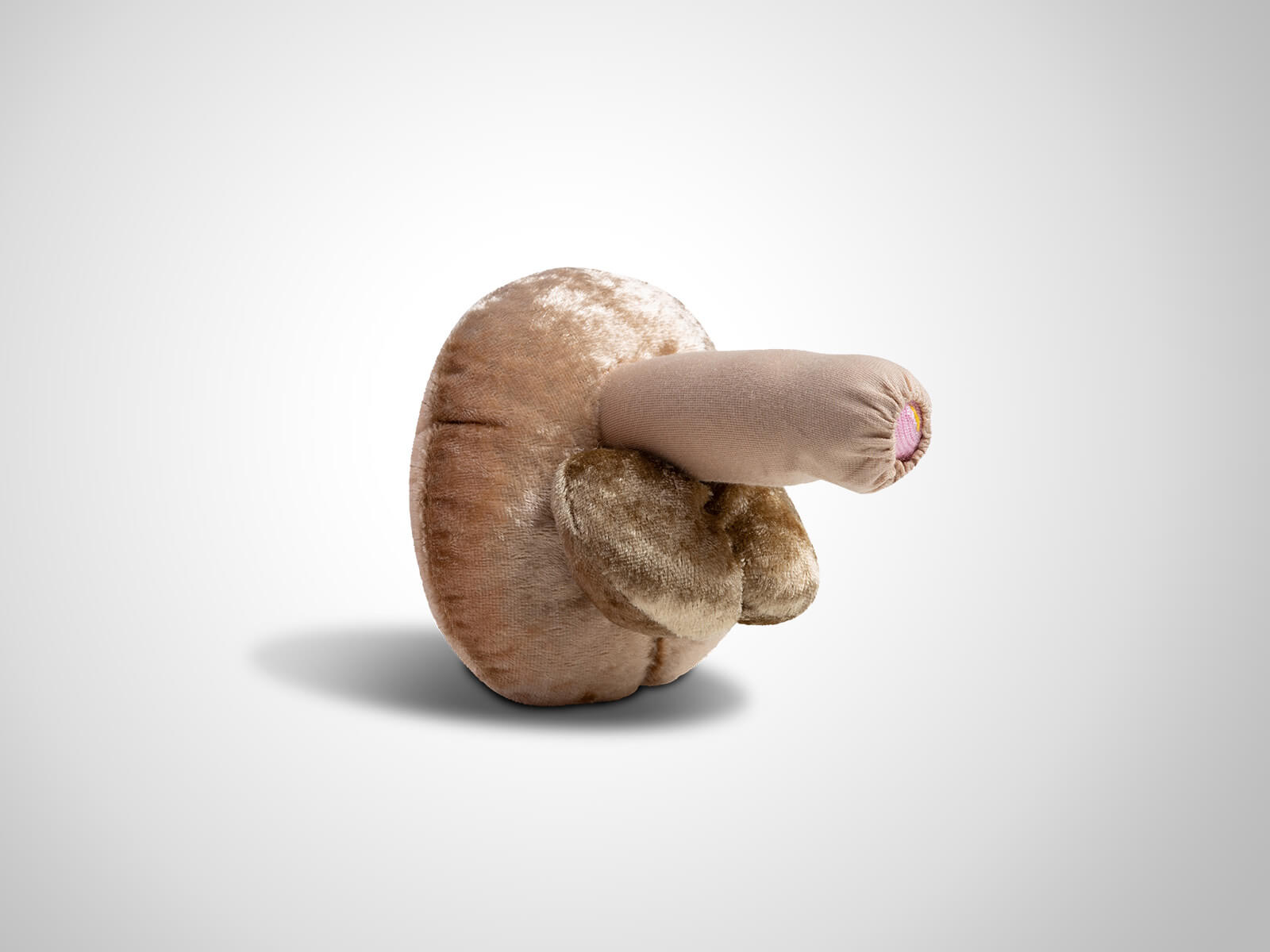 Paomi Penis mittelgroß