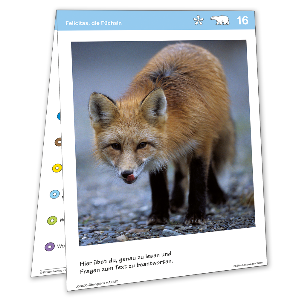 Logico Übungsbox Maximo - Lesewege