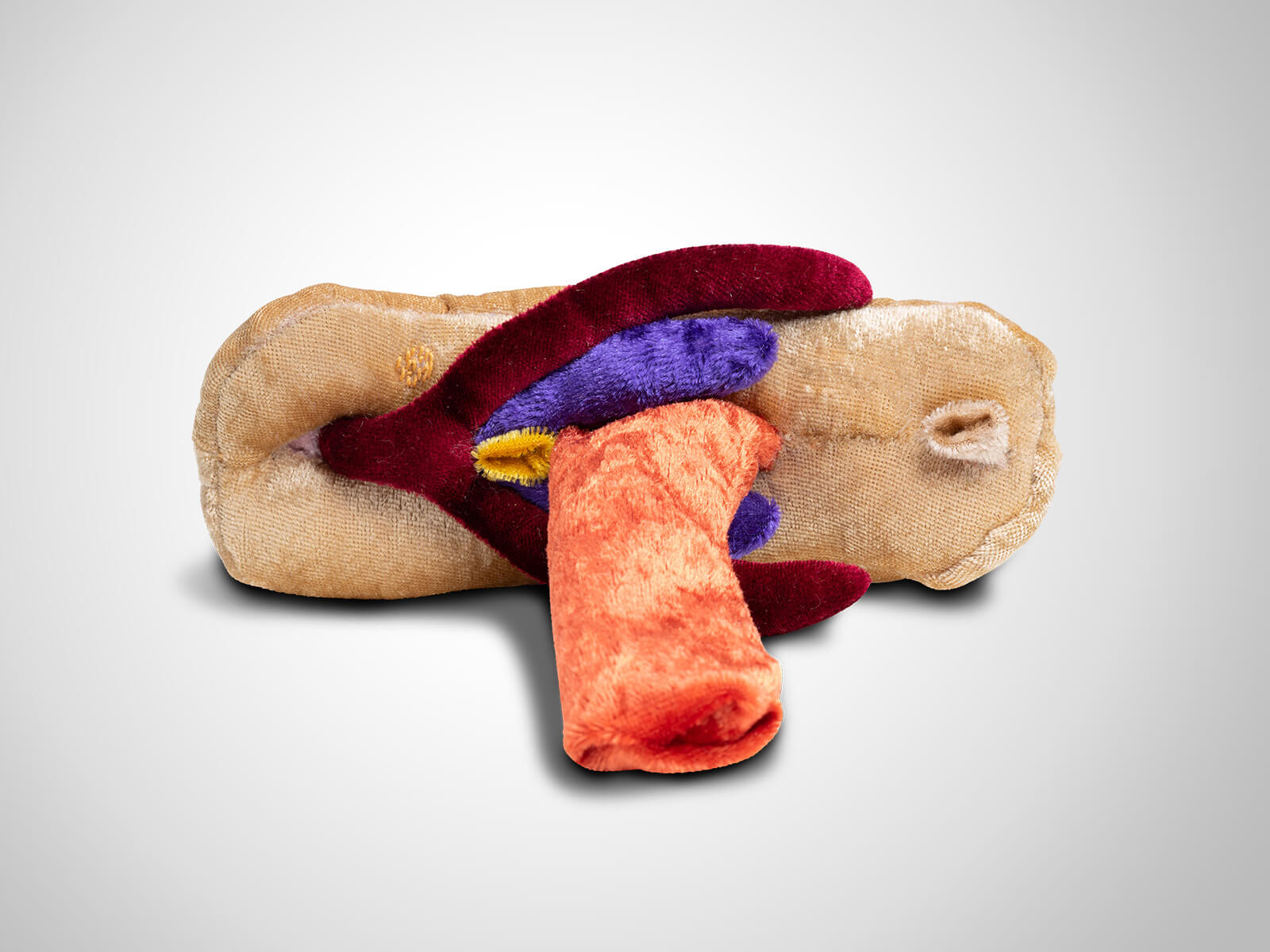 Paomi Vulva/Vagina flach variabel als Set mit Klitoris + Schwellkörper