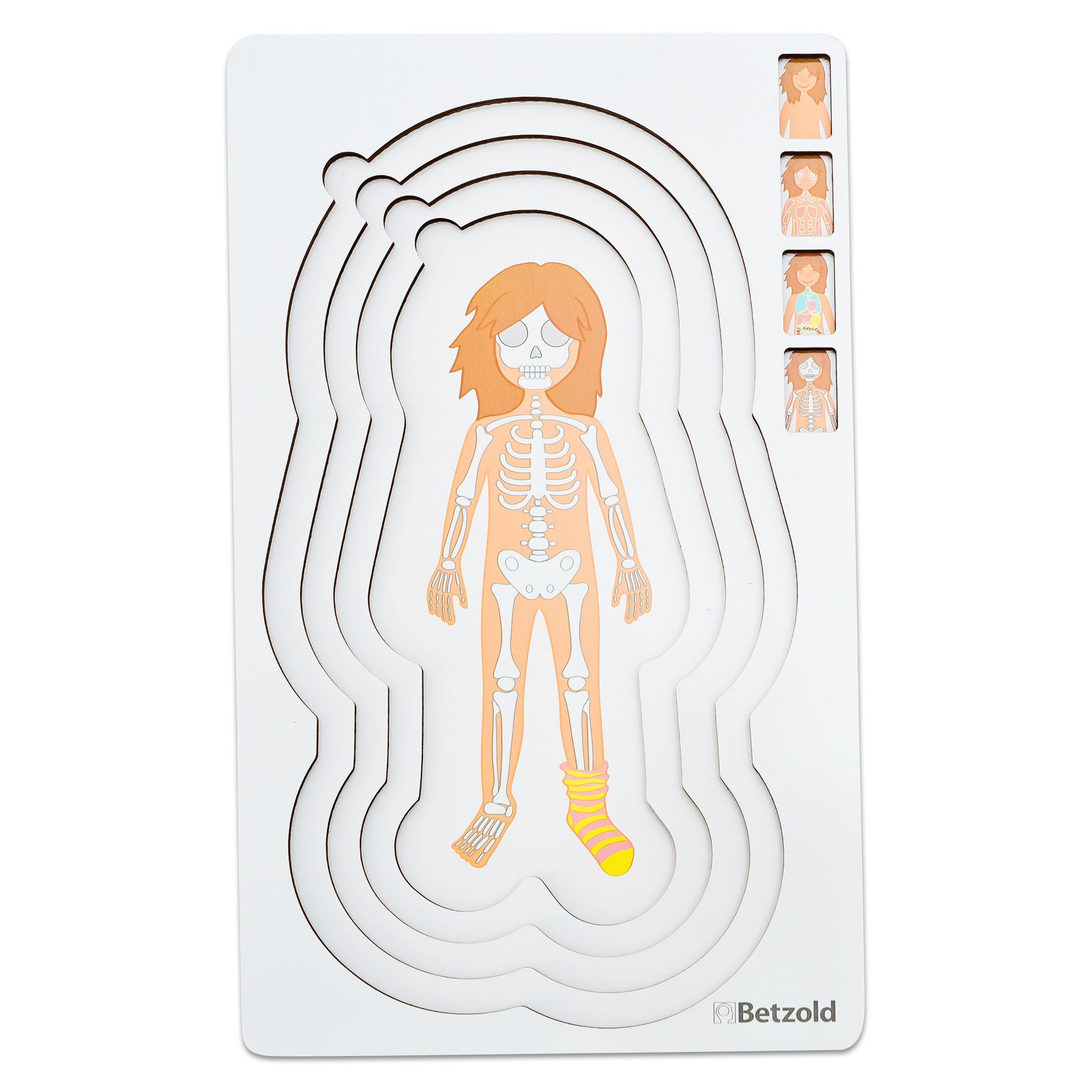 Betzold Lagenpuzzle „Anatomie“ Mädchen