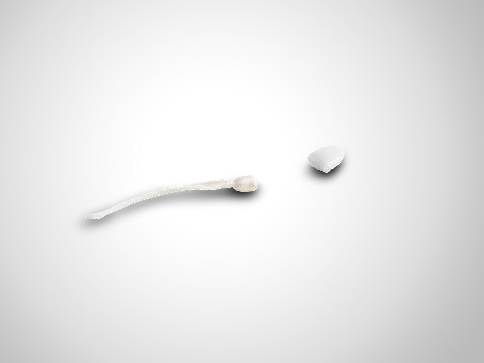 Paomi Spermien mit Magnet 1 Stk.