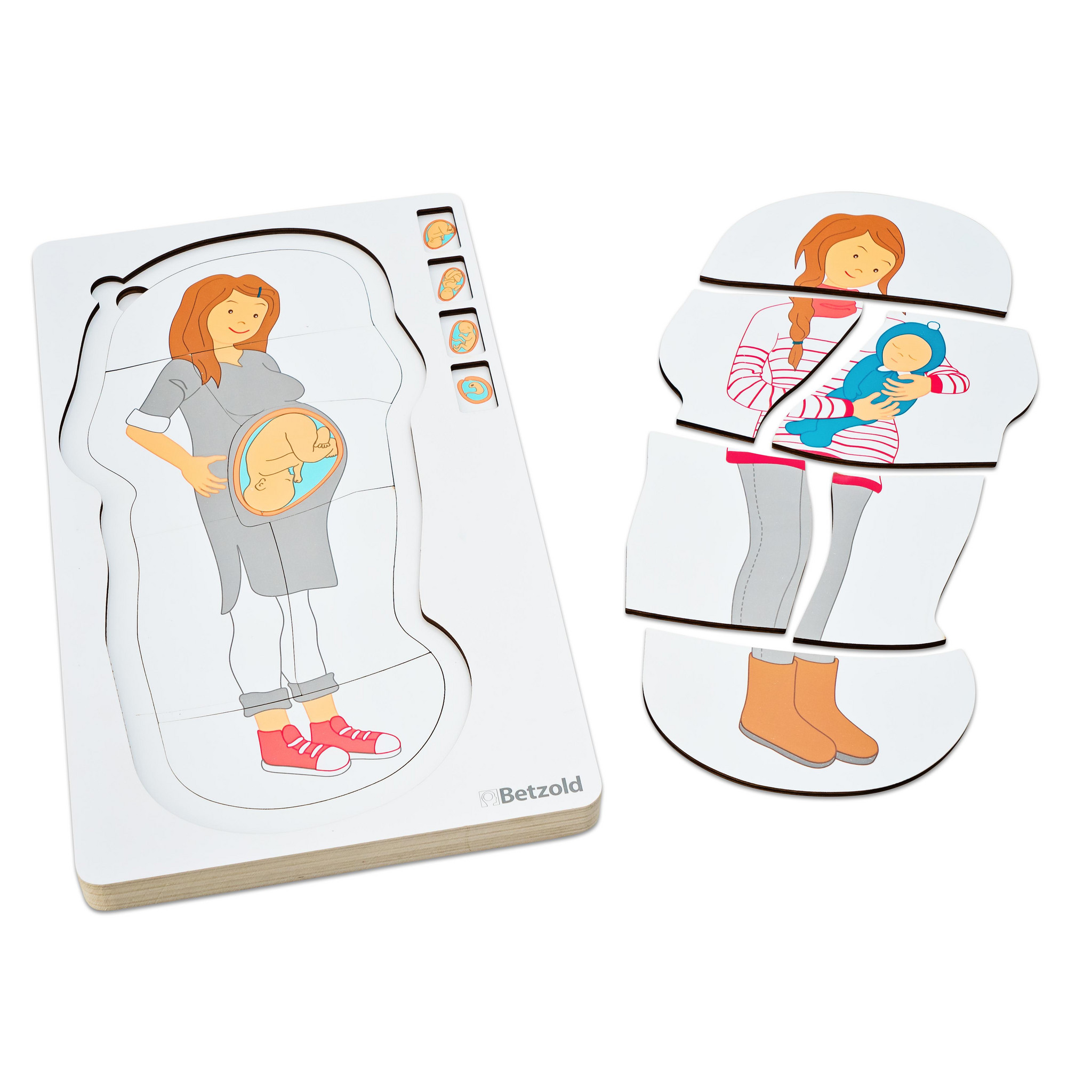 Betzold Lagenpuzzle „Schwangerschaft"
