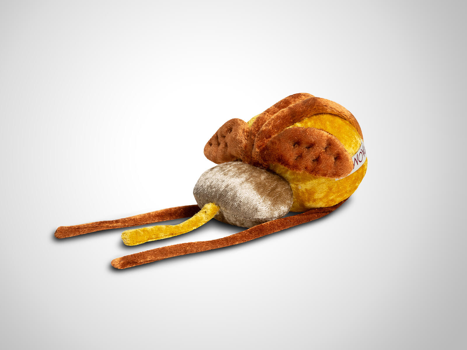 Paomi Prostata mit Harnblase