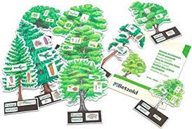 Natur - Wetter - Sonnensystem