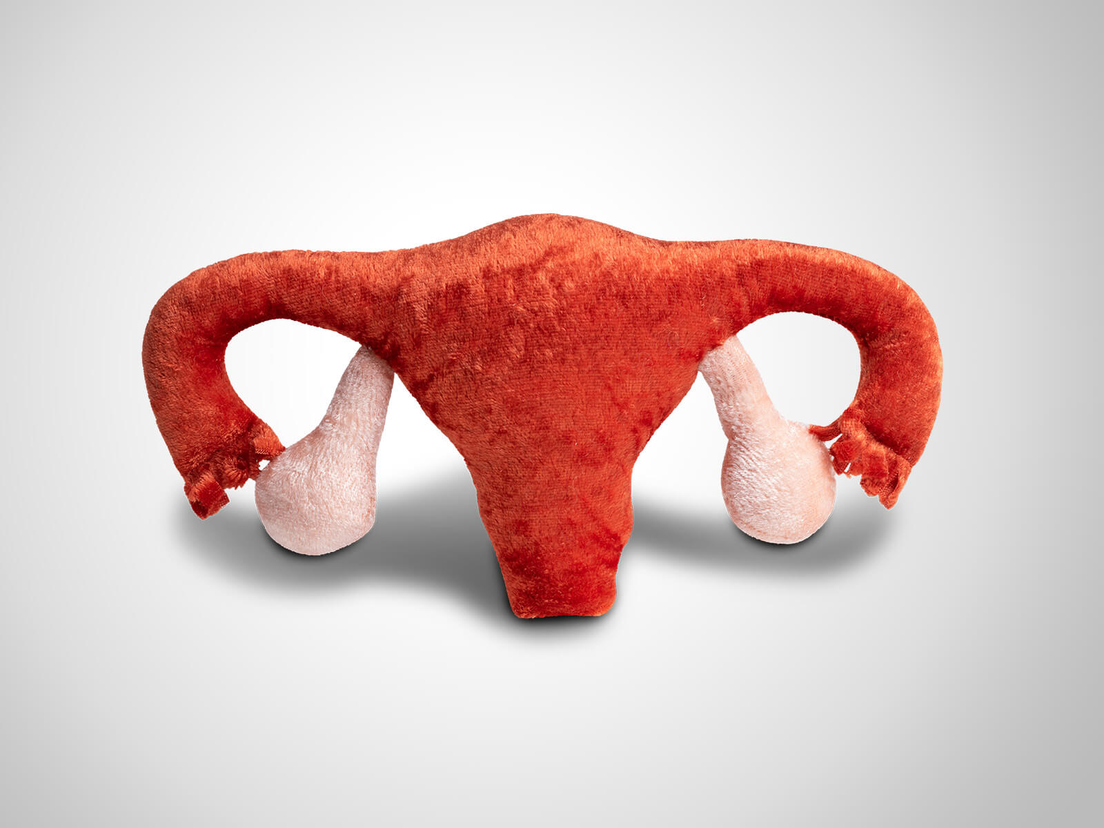 Paomi Gebärmutter klein