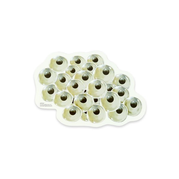 Magnetischer Lebenszyklus Frosch