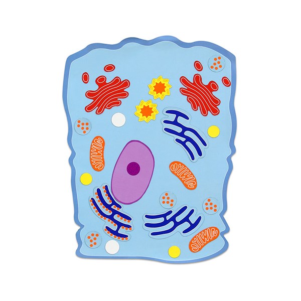 Große magnetische Tierzelle